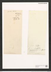 Nitzschia sigma var. ? maxima Gru.n (de-Toni-Nr.: Genus 47, Species 2099) Zeichnungen Sammlung Grunow (NHMW-BOT-W0372083)